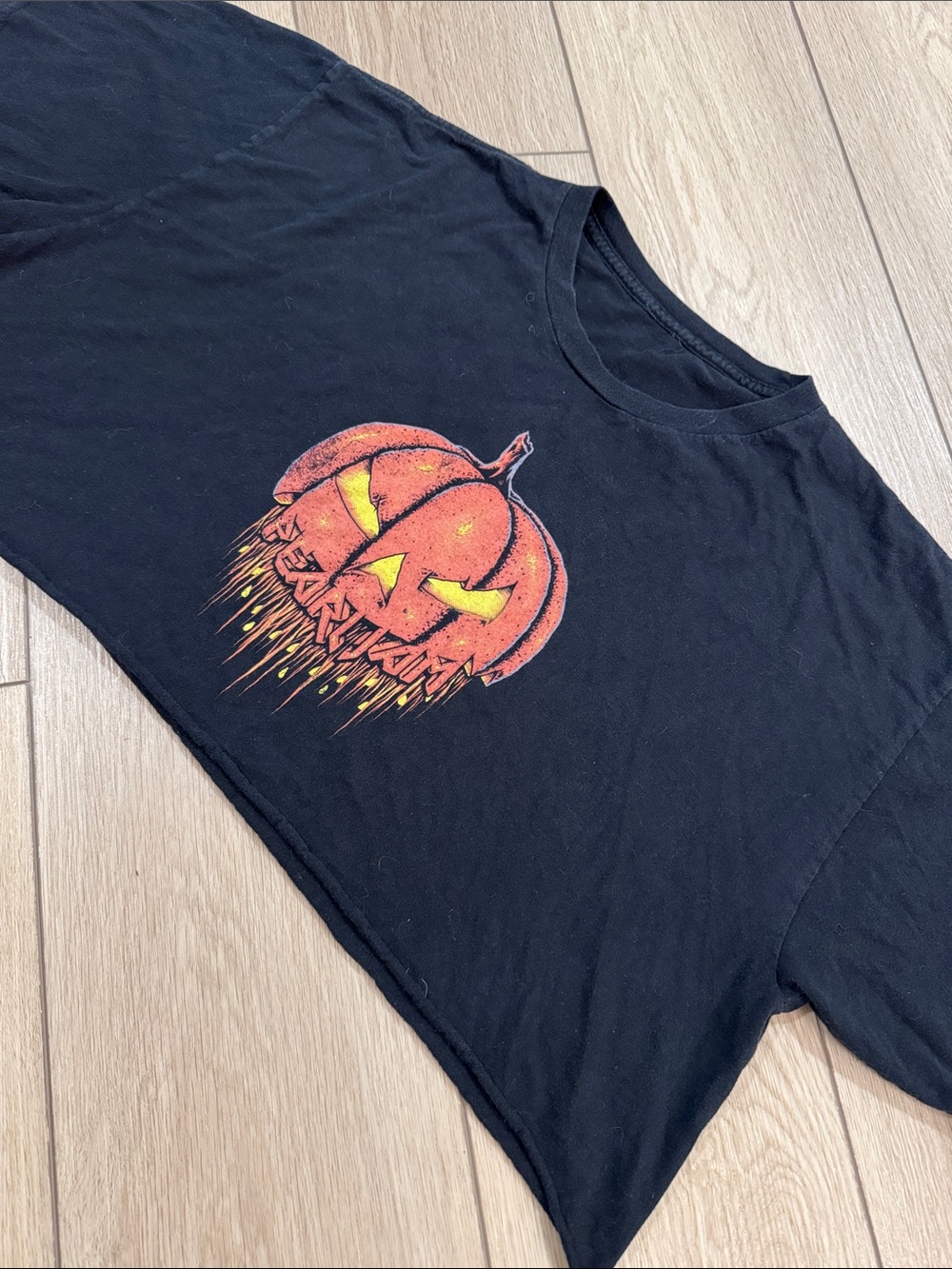 PEARL JAM TEN CLUB 2012 HALLOWEEN T-SHIRT Unisex Cropped Pumpkin Tee Rare 90s